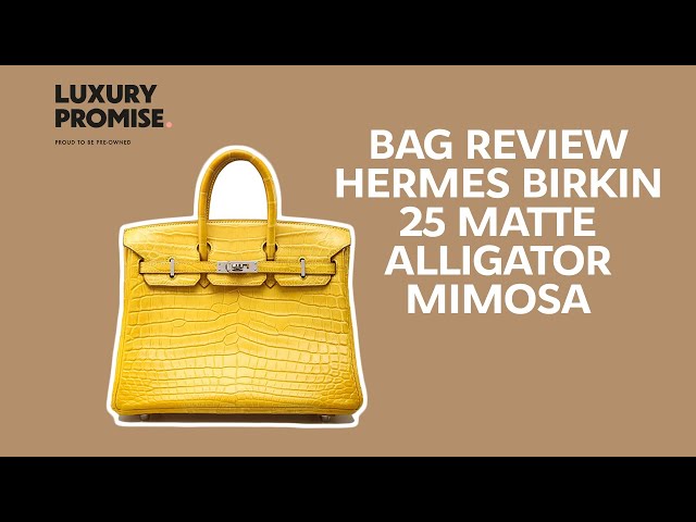 HERMES Mimosa Matte Crocodile Birkin 25cm – Yafa Signed Jewels