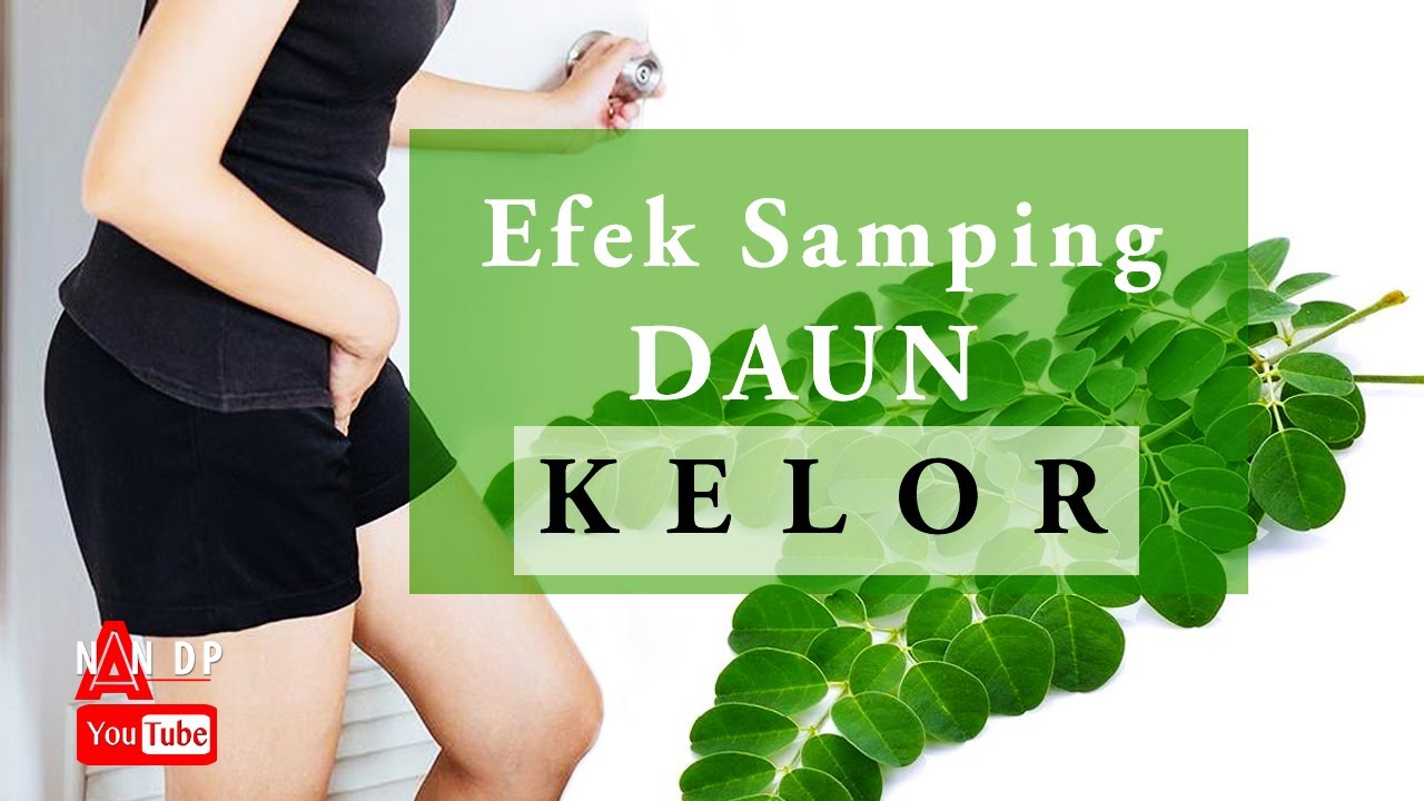 Kenali Secara Detail Efek Samping Daun Kelor 