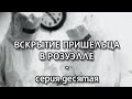 ВСКРЫТИЕ ПРИШЕЛЬЦА В РОЗУЭЛЛЕ, серия 10: ВОЕННЫЙ КИНООПЕРАТОР