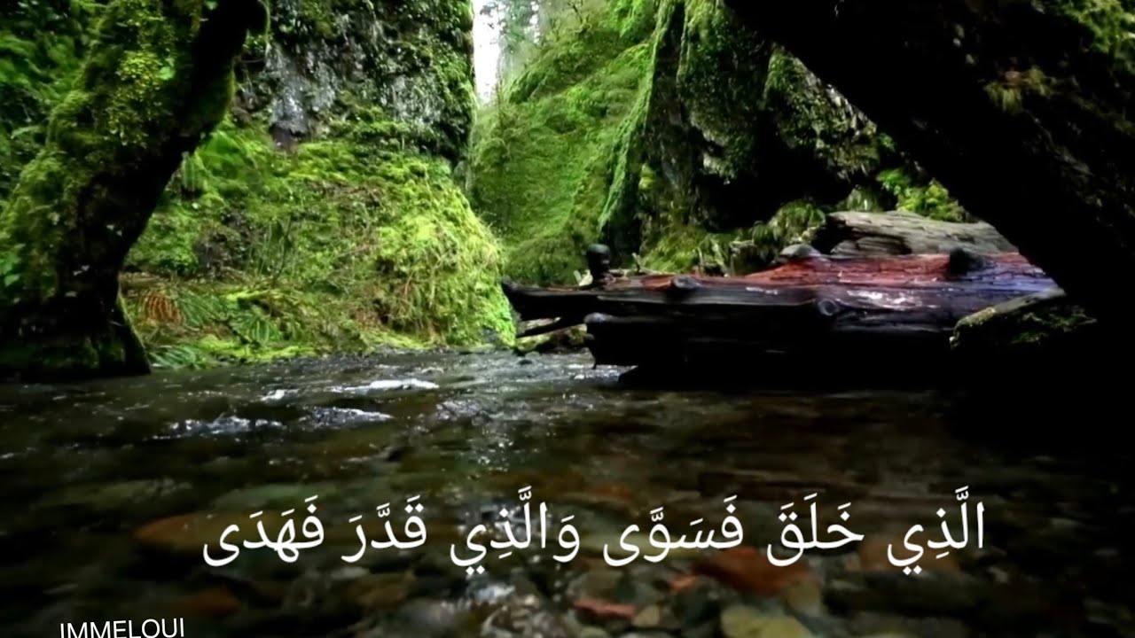 YouTube youtube