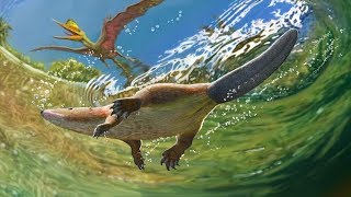 The Mammals that Lived Alongside the Dinosaurs