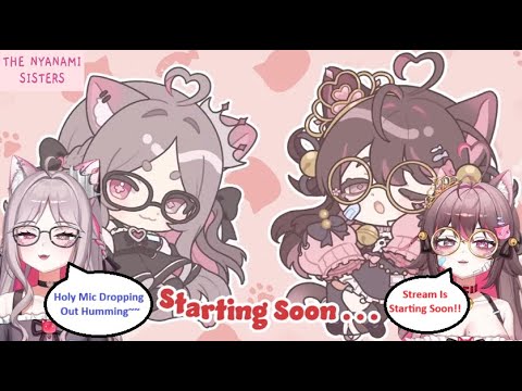[Nyanami Memes] Ruru And Rumi Nyanami: 