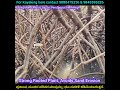 ನಿನ್ನ ಮಹಿಮೆ ಅಪಾರ; Beautiful Mangrove Roots @ Back Water River, Parampalli Kayaking &amp; Boating place