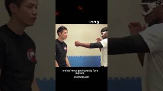 3 Most Dangerous Wing Chun Techniques Part 4 shorts