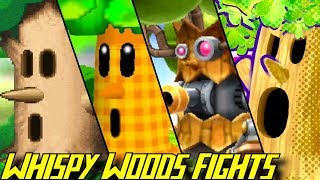 Evolution of Whispy Woods Battles (19922018)