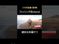 サーフフィッシングで魚種ビンゴを目指せ！④ #shorts #fishing #釣り