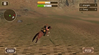 Horse Racing League 2017 (by Tapinator, Inc.) - racing game for android and iOS - gameplay. screenshot 2