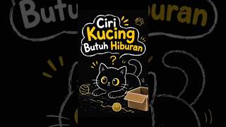 Ciri Kucing Butuh Hiburan