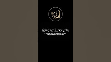 وقالوا اتخذ الرحمن ولدا - سورة مريم 🌿 #الشيخ_عبدالله_كامل #وقالو_اتخذ_الرحمن_ولدا