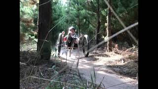 Trisled Mountain Trike 27 Model Overview