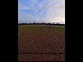 ¡Ni la LLUVIA ni el BARRO nos DETIENEN! 🌧️⚽ Entrenamiento Intenso POV#nobatidao