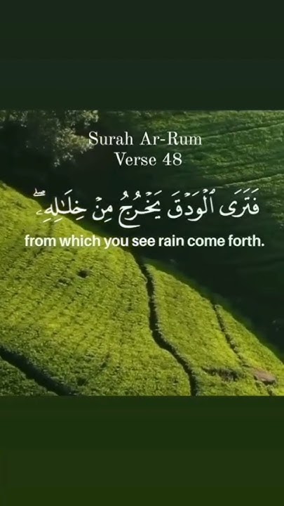 surah-ar-rum-verse-48