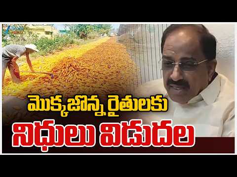 Thummala Nageswara Rao  | మొక్కజొన్న రైతులకు నిధులు విడుదల: మంత్రి తుమ్మల | Zee Telugu News - ZEE24TELUGUNEWS