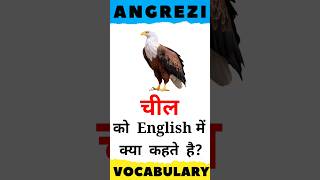 What is eagle called in English? | English Vocabulary | #englishvocabulary #shorts Hindi Word For Eagle