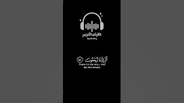 القرآن الكريم راحة نفسية #القرآن_الكريم #راحة_نفسية  #اكسبلور #لايك #ترند