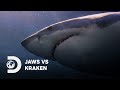 Battle of the Ocean&#39;s Beasts | Jaws vs Kraken