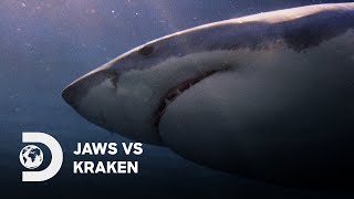 Battle of the Ocean's Beasts | Jaws vs Kraken