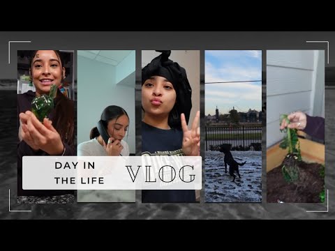DAY IN THE LIFE | VLOG #4 - YouTube