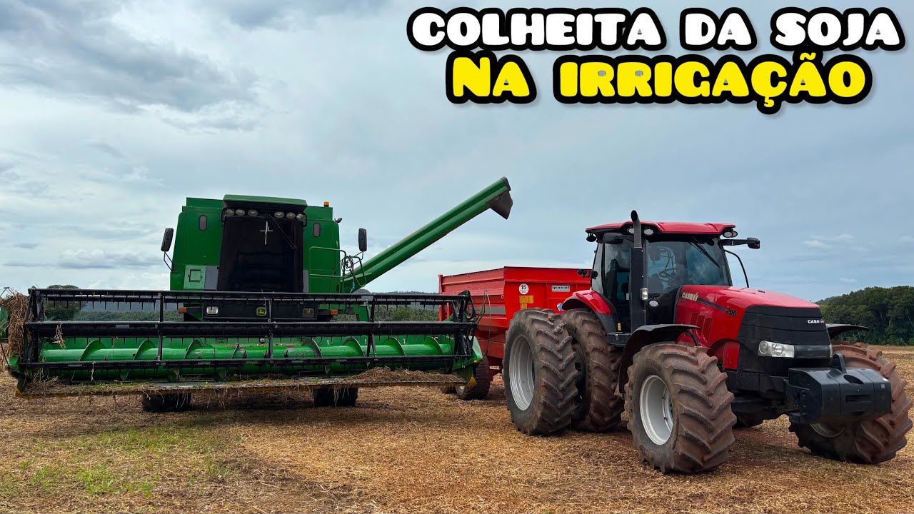 JOHN DEERE 1775 COLHENDO E DEUTZ AGRALE BX 4.150 NIVELANDO!