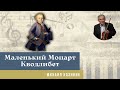 Михаил Казиник - Моцарт "Кводлибет" (что угодно)