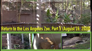 Return to the Los Angeles Zoo, Part 5 (August 26, 2020)