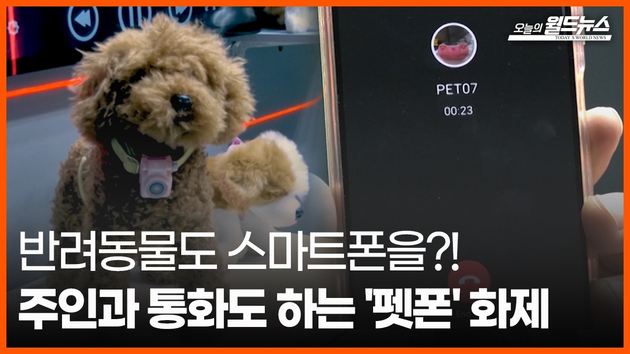 [오늘의 세계] 주인과 통화도 하는 '펫폰' 화제 / OBS 오늘의 월드뉴스