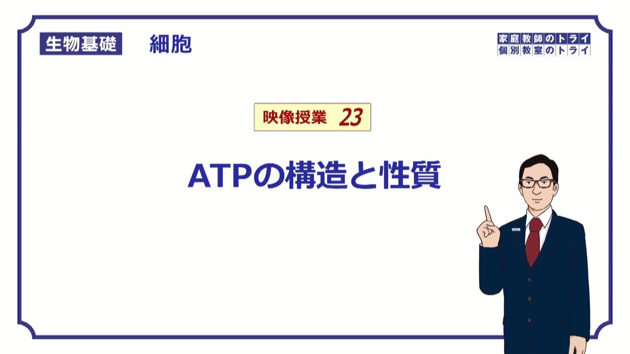 【生物基礎】　細胞23　ATPの構造と性質　（１４分）