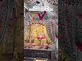 मोगरा महोत्सव श्रीमंत दगडूशेठ गणपतीमंदिर पुणे#pune #गणपती #बाप्पामोरया #महोत्सव
