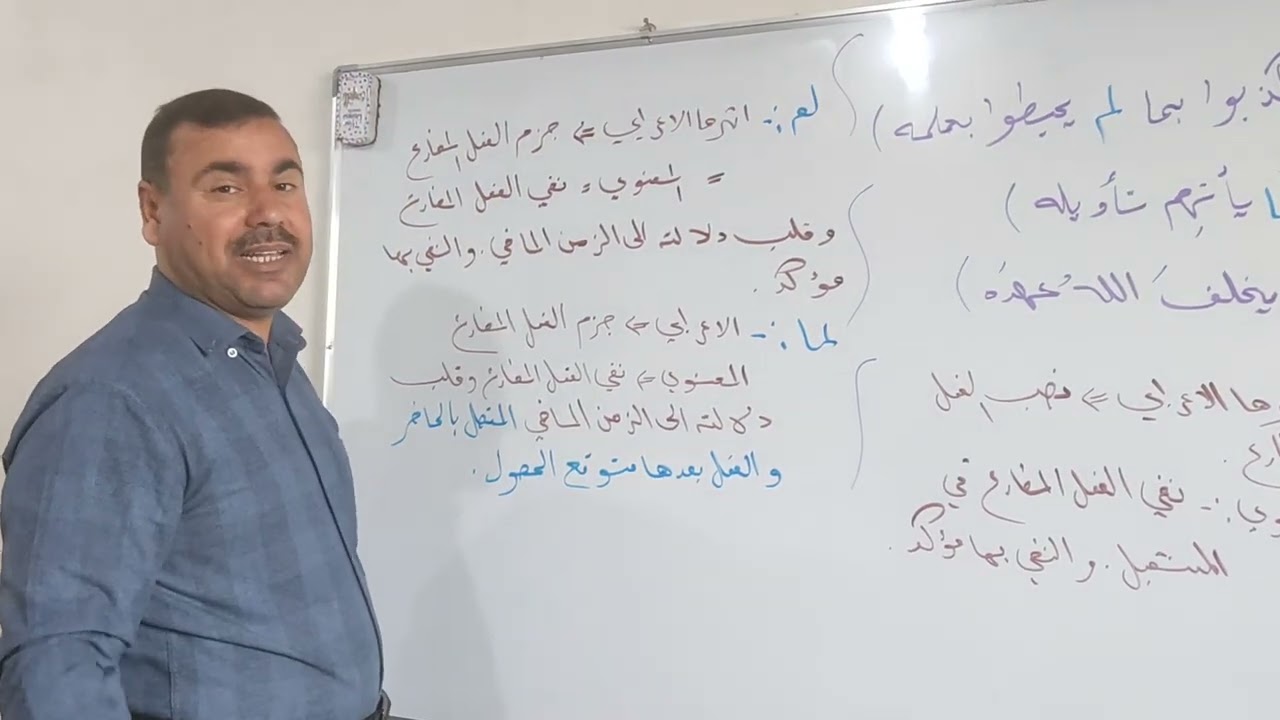 مرشحات النفي