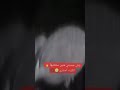 مالين حال