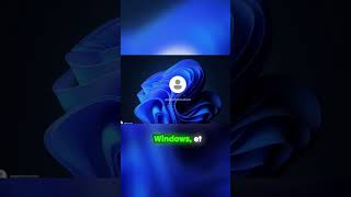 1 Jour 1 Hack Look Windows 11 Sur Linux Le Test Winux