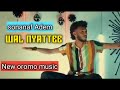 Sonanaf Adem Sirba Afaan Oromoo Haraa New Oromo Music Wal Nyattee 2021