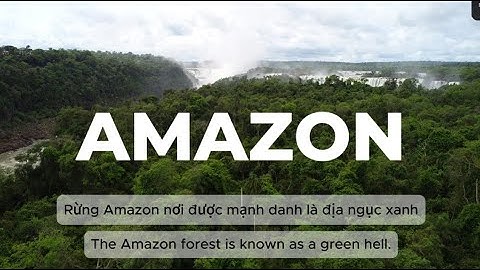 Top 10 Quái Vật Nguy Hiểm Nhất Rừng Amazon–Có Con Nhỏ Như Hạt Gạo Nhưng Giết Người! | TOP 10 ĐỘC LẠ