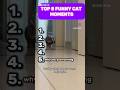 TOP 5 FUNNIEST AND VIRAL CAT MOMENTS PT.3