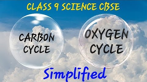 SIMPLIFIED Carbon cycle OXYGEN Cycle | CLASS 9 CHAPTER 14 BIOGEOCHEMICAL CYCLES
