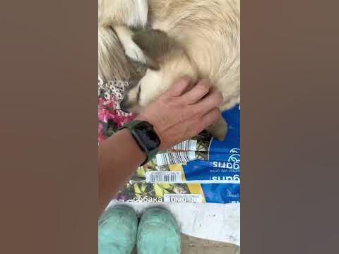 ГРЯДКА ДЛЯ КОМНАТНЫХ ЦВЕТОВ В ДОМЕ - YouTube