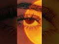 A SMALL FACE REVEAL Brookhaven Roblox Raylashon A SMALL FACE REVEAL Brookhaven Roblox Raylashon
