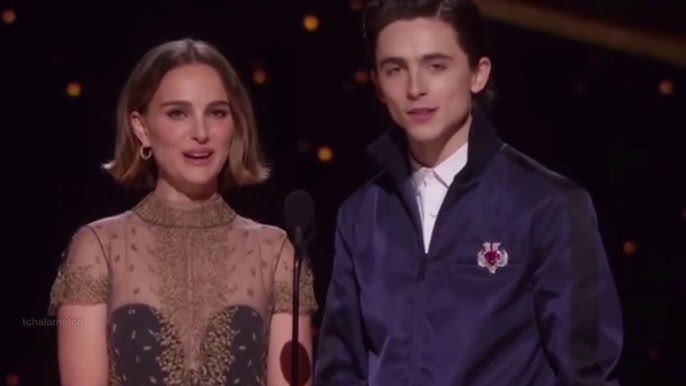 Oscars 2020: Timothée Chalamet Wears Prada