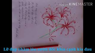 Karaoke Đoạn Tình Phai Anh Rồng Tone Nam