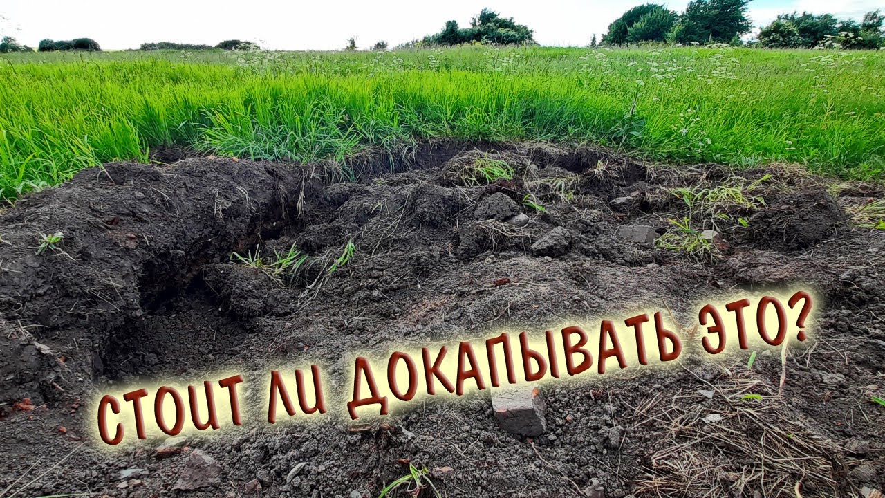 Докопал чужие шурфы и нашел все это... 