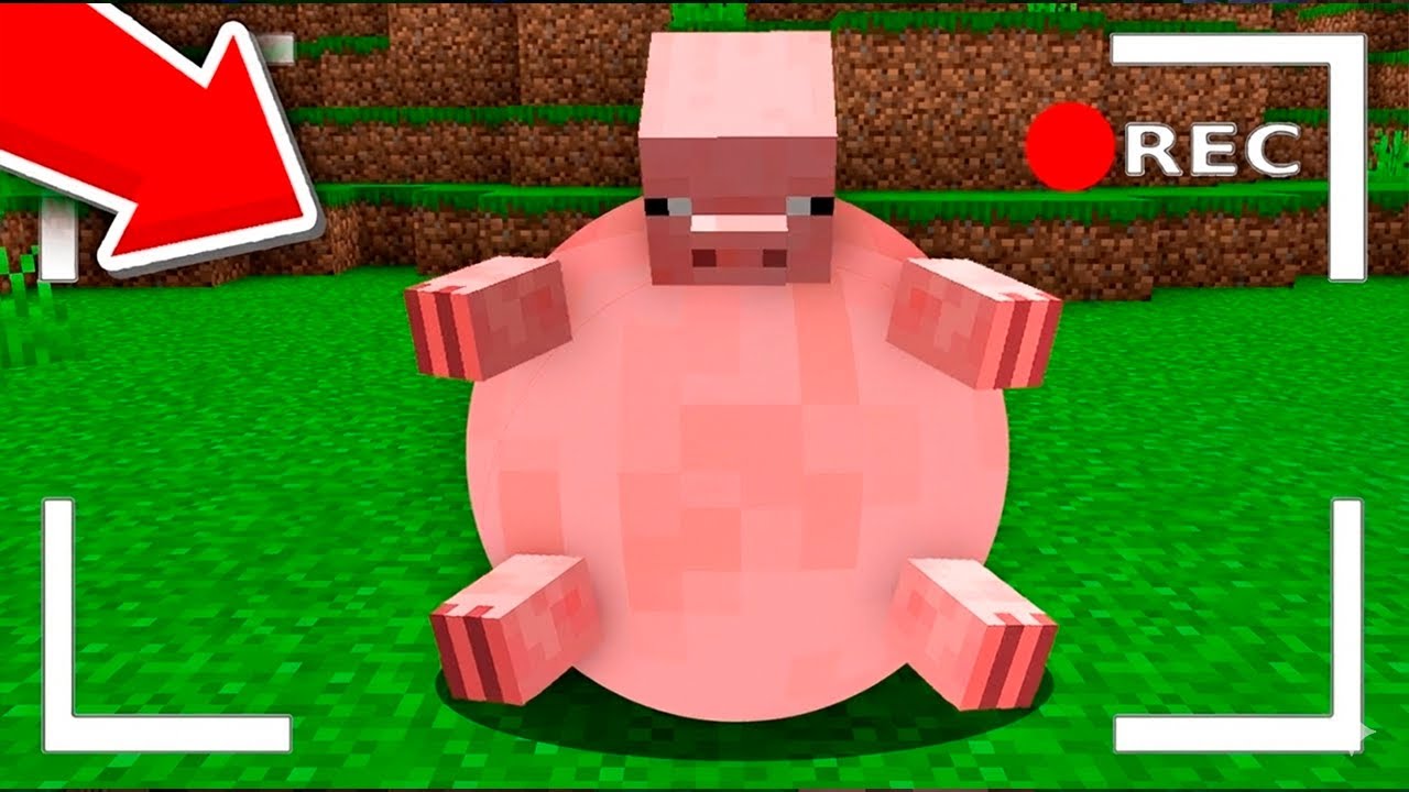 Esto Pasa si le das de Comer a un CERDO en Minecraft😱