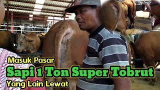 Super Tobrut Sapi 1 Ton Masuk Pasar Yang Lain Auto Lewat