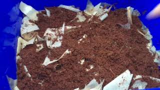 DIY Worm Composting Bin Part 2