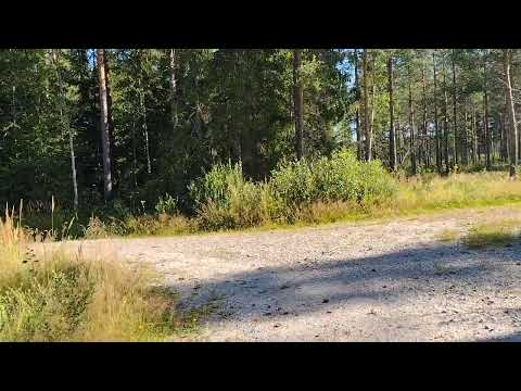 Video: Mikä on ääretön siirtojohto?