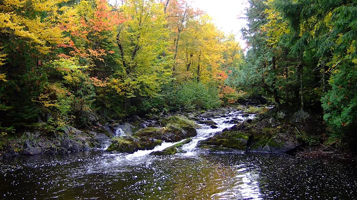 Bad River Watershed Association's Michele Wheeler