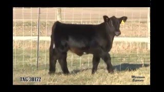 2016 Jeff Miller Private Treaty Sale Tag 30172