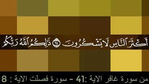 الشيخ يحيى حوا من سورة غافر الاية  الى سورة فصلت الاية 8