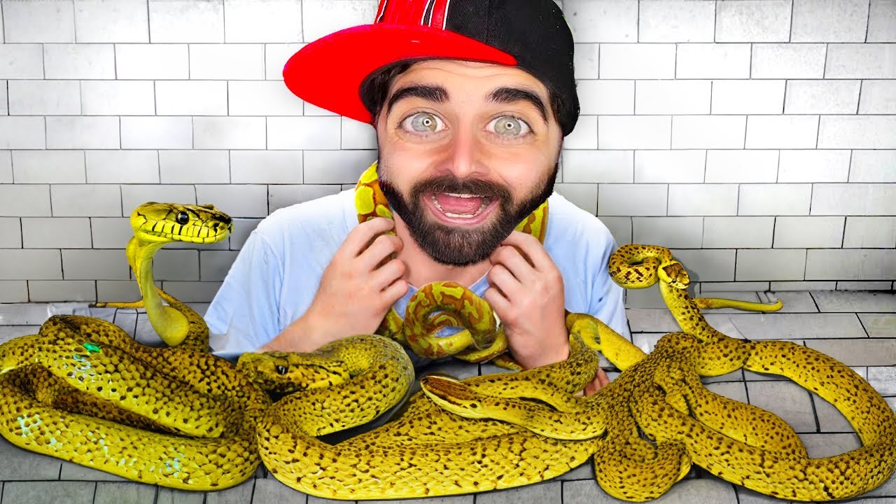 Το Δηλητηριώδες Φίδι! | ΑΔΕΛΦΙΚΗ ΑΓΑΠΗ 4