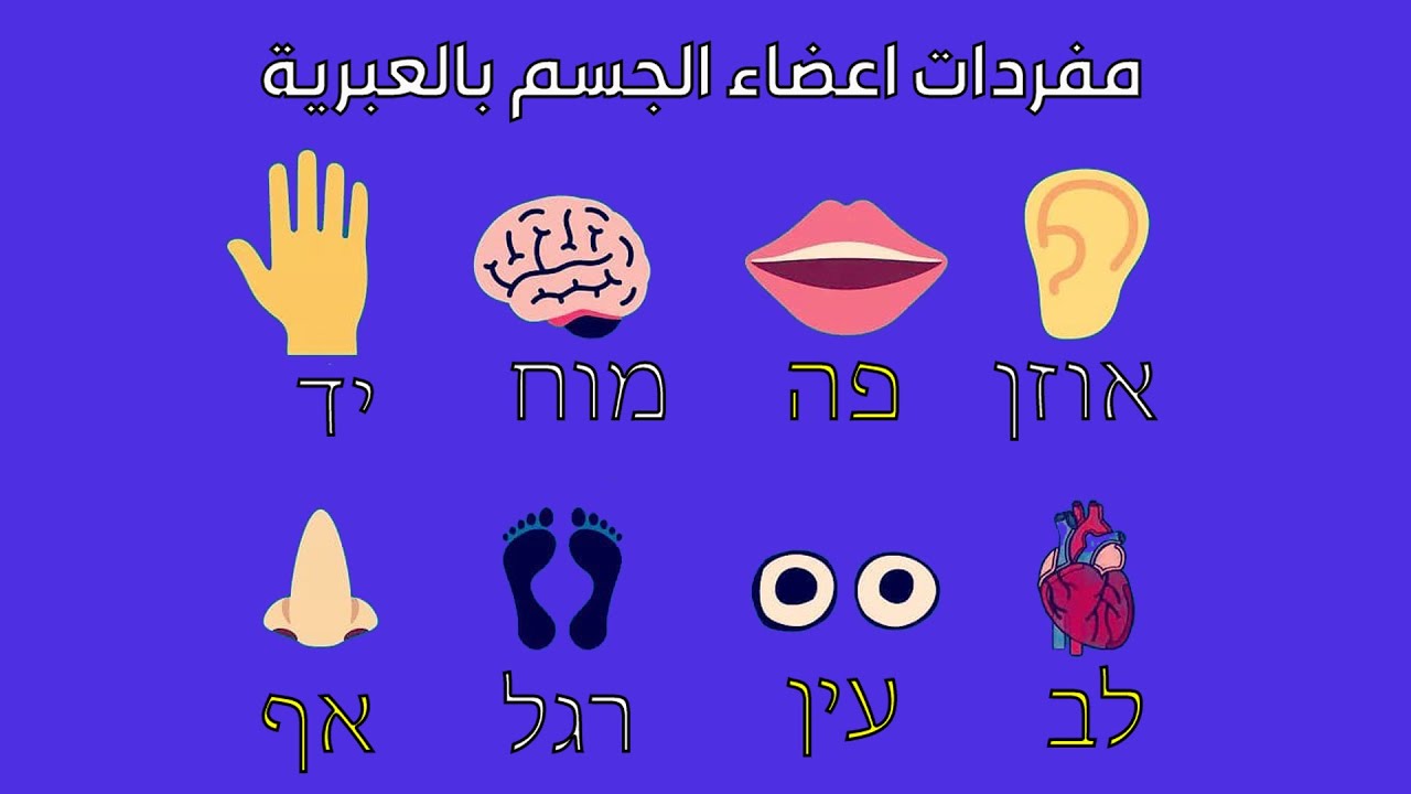 الجزء الثالث | اهم الكلمات والمفردات الطبية والمستشفى المستخدمة في اللغة العبرية