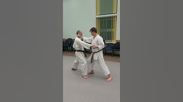 Chinte kata effective bunkai nr. 1 #shorts